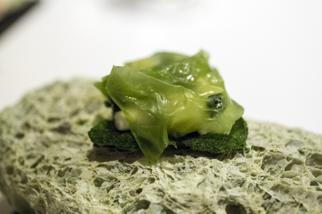 alghe affumicate, plancton, mozzarella di bufala, Quique Dacosta, Denia, Spagna