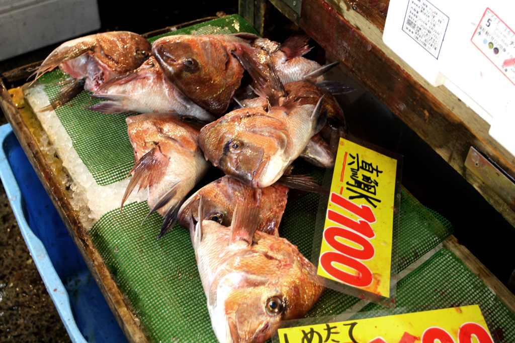 Tsukiji Market – Daiwa Sushi, Tokyo
